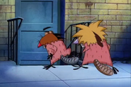 They run to a door…