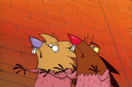 …leaving Norbert and Daggett naked again!