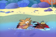 A safe landing, followed by a quick swimming!