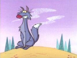 Wolffe D. Wolf