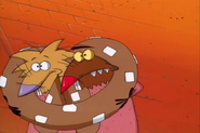 When the beavers least expect it…