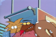 This gave Norbert and Daggett a backup plan