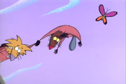 …but the butterfly flew away from Daggett