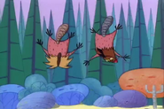 Let's pray for the beavers to land safely…