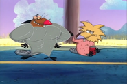 Brief Muscular Beaver reference