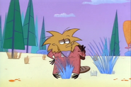 Norbert finding some grass…