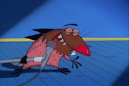 Daggett singing the chorus of the Naked Sheep Song