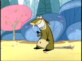 Muskrat