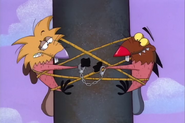 Norbert telling Daggett to start gnawing