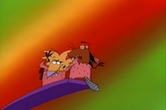 The beavers near the end of the pool board
