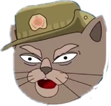 Генерал Кот