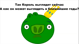 Король40