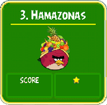 3 - Hamazonas