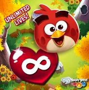 71688463 1374029669427755 1853965535746719744 o.jpg (183 KB)