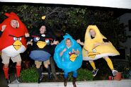 From left, Devon MacIver, Evan McGee, Kate Gammon, and Jordan Finley were Angry Birds for Halloween in Los Angeles during 2010.