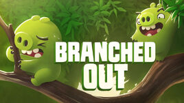 Branched Out TC