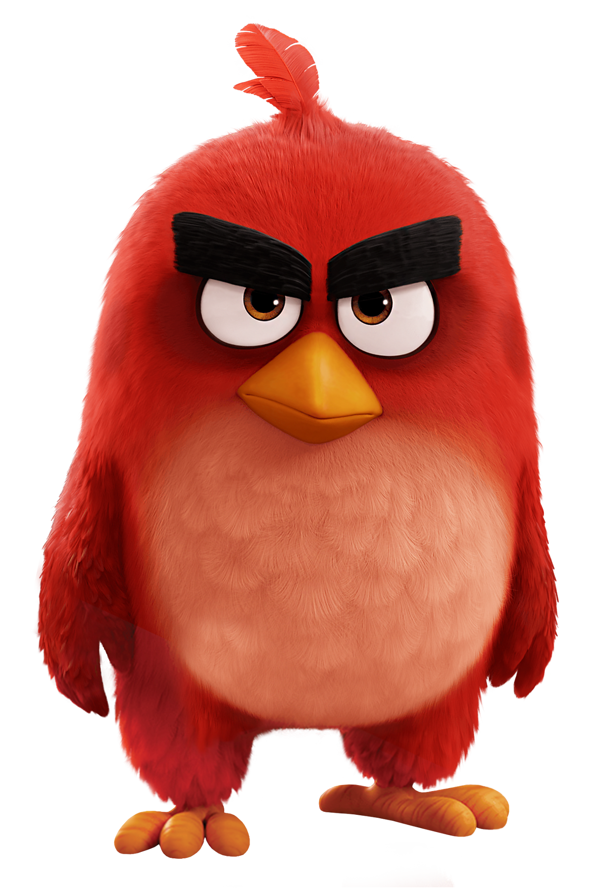 Картинки из angry birds