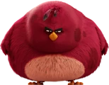 Terence