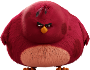 very fat angry birds