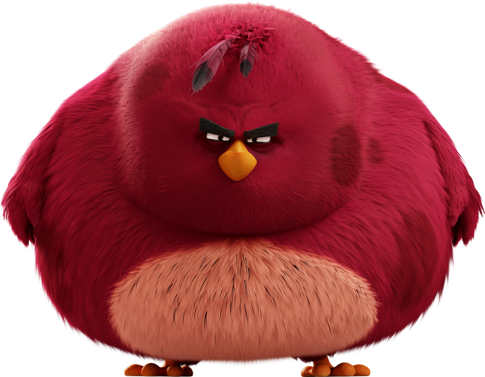 Angry birds теренс. Теренс из Angry Birds. Энгри бердз большая красная птица. Angry Birds бомба Теренс. Попугай из Энгри бердз.