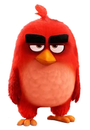 The Angry Birds Movie