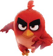 The Angry Birds Movie