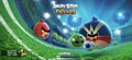 Angry Birds Soccer Cup Tournament