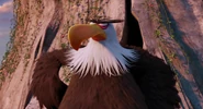 No - Mighty Eagle