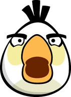 Matilda front beak open