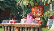 The Angry Birds Movie 2 Stella Apple Store