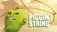 Piggin' String TC