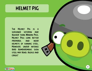 621px-Helmet Pig Toy Care.PNG