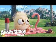 The Angry Birds Movie - See the Brand-New Hatchlings Short In Theaters!