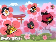 Angry-Birds-Seasons-Cherry-Blossom-02.jpg (114 KB) Angry-Birds-Seasons-Cherry-Blossom-02