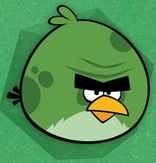 Terence the Big Brother Green Bird