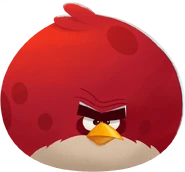 ABPOP Terence.png (288 KB) Terence