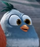 Soccer Boy Bird