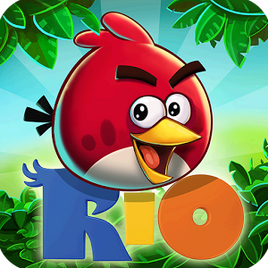 Ikona RIO