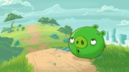 The pig whistling the Angry Birds tune.