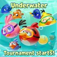 114157834 1243386739335989 4321586406778095567 o.jpg (128 КБ)