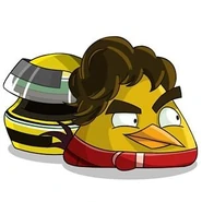 ABGO! Senna Bird with his Helmet.jpg (28 KB)