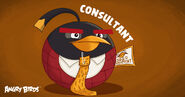 As a Consultant in Angry Birds Career Test.