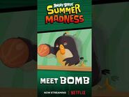 Angry Birds Summer Madness - Meet Bomb 💥 -Shorts -AngryBirds -SummerMadness -Bomb