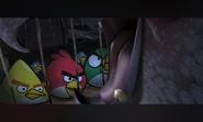 Red takes the bait.
