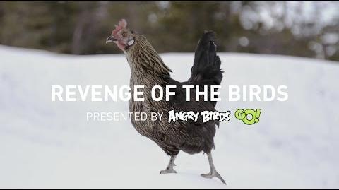 Revenge of the Angry Birds (on humans)