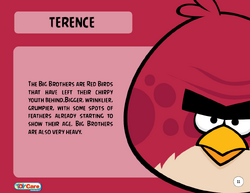 Terence Toy Care