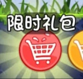 Кнопка «Набора ограниченного времени действия»