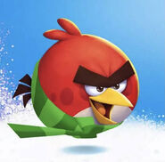 Angry Birds 2 Christmas 2015 Icon