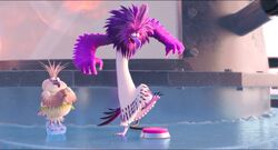pics Angry Birds Movie 2 Mighty Eagle And Zeta Wedding zeta angry birds wiki fandom