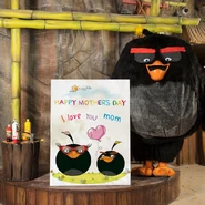 Angry Birds Qatar Happy Mom's Day.jpg (61 kB) Publicación del día de la madre realizada por Angry Birds Qatar el 21 de marzo del 2018.